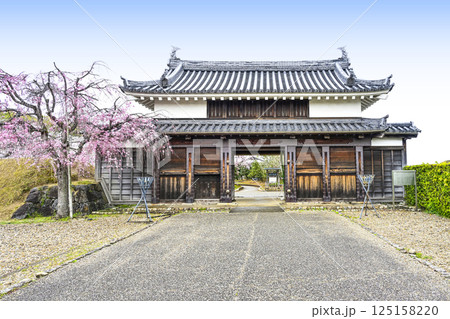 西尾市歴史公園　鍮石門（ちゅうじゃくもん） 125158220