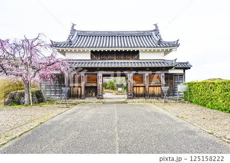 西尾市歴史公園　鍮石門（ちゅうじゃくもん） 125158222