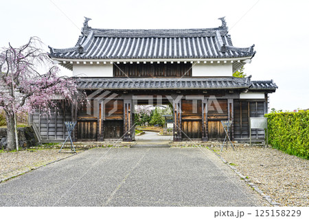 西尾市歴史公園　鍮石門（ちゅうじゃくもん） 125158229