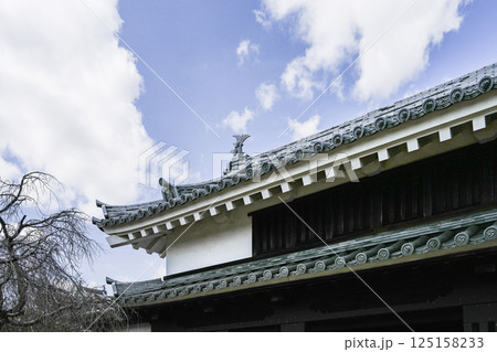 西尾市歴史公園 鍮石門(ちゅうじゃくもん) 西尾市歴史公園 鍮石門(ちゅうじゃくもん) 125158233