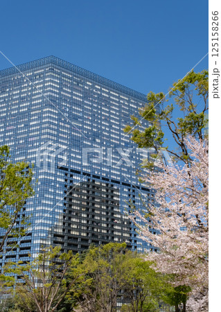 新緑と桜が満開になった都会のビル 新緑と桜が満開になった都会のビル 125158266