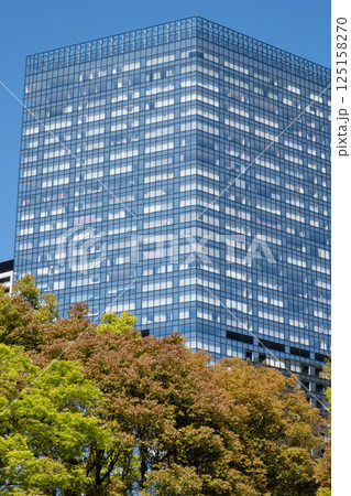 新緑のオフィス街の高層ビルを見上げる風景 125158270