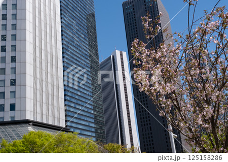 新緑と桜が満開になった都会のビル 125158286
