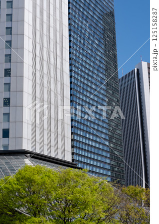 新緑のオフィス街の高層ビルを見上げる風景 125158287