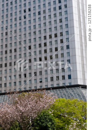 新緑と桜が満開になった都会のビル 新緑と桜が満開になった都会のビル 125158288