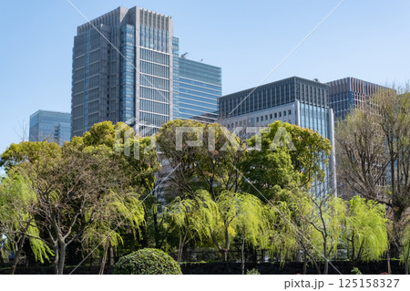 新緑のオフィス街の高層ビルを見上げる風景 125158327