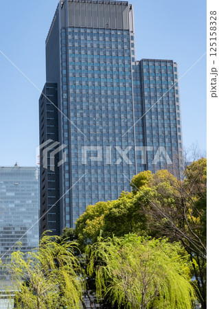 新緑のオフィス街の高層ビルを見上げる風景 125158328