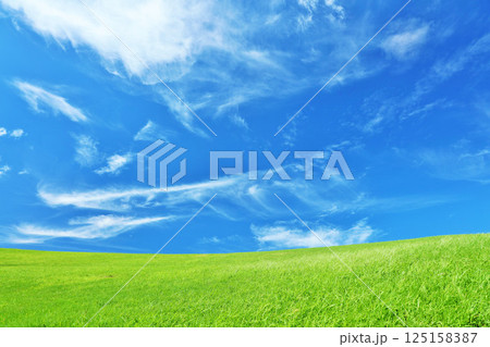 秋の青空と綺麗な草原風景 秋の青空と綺麗な草原風景 125158387