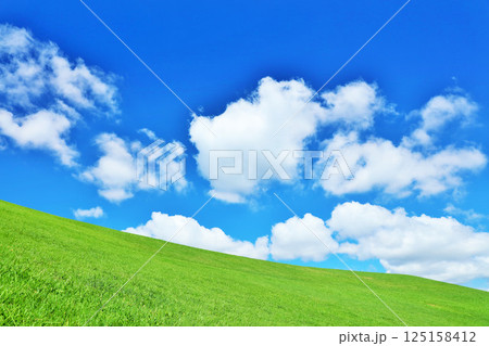 爽やかな夏の青空と新緑の草原風景 爽やかな夏の青空と新緑の草原風景 125158412