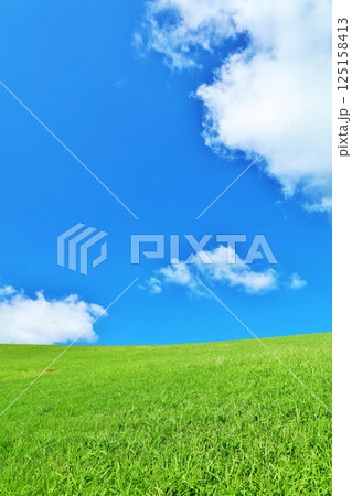 爽やかな夏の青空と新緑の草原風景 125158413