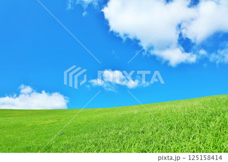 爽やかな夏の青空と新緑の草原風景 125158414