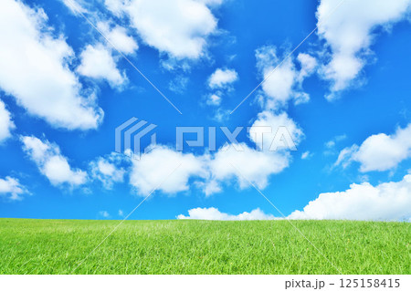 爽やかな夏の青空と新緑の草原風景 爽やかな夏の青空と新緑の草原風景 125158415