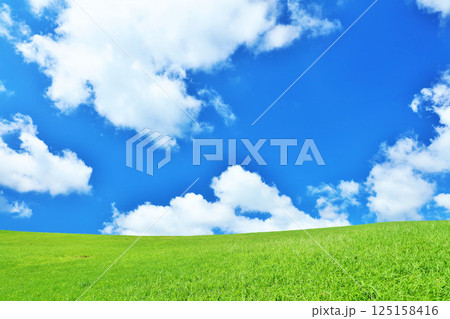 爽やかな夏の青空と新緑の草原風景 爽やかな夏の青空と新緑の草原風景 125158416