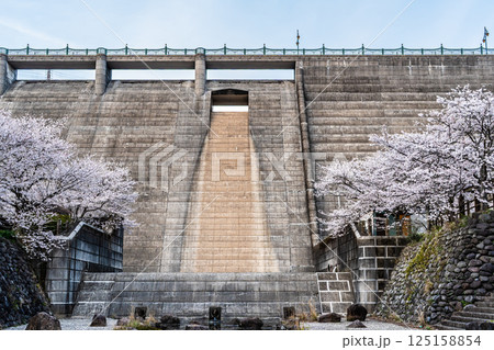 西山ダム下流公園の桜【長崎市】 125158854