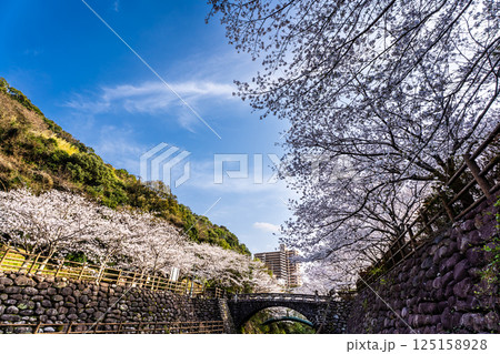 西山ダム下流公園の桜【長崎市】 125158928