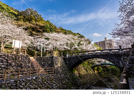 西山ダム下流公園の桜【長崎市】 西山ダム下流公園の桜【長崎市】 125158931