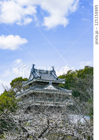 西尾市歴史公園(3月末日) 本丸丑寅櫓(ほんまるうしとらやぐら) 西尾市歴史公園(3月末日) 本丸丑寅櫓(ほんまるうしとらやぐら) 125158995
