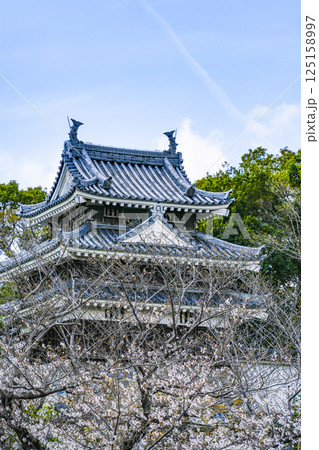 西尾市歴史公園(3月末日) 本丸丑寅櫓(ほんまるうしとらやぐら) 西尾市歴史公園(3月末日) 本丸丑寅櫓(ほんまるうしとらやぐら) 125158997