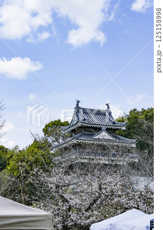 西尾市歴史公園(3月末日) 本丸丑寅櫓(ほんまるうしとらやぐら) 西尾市歴史公園(3月末日) 本丸丑寅櫓(ほんまるうしとらやぐら) 125158998