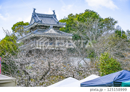 西尾市歴史公園（3月末日）　本丸丑寅櫓（ほんまるうしとらやぐら） 125158999