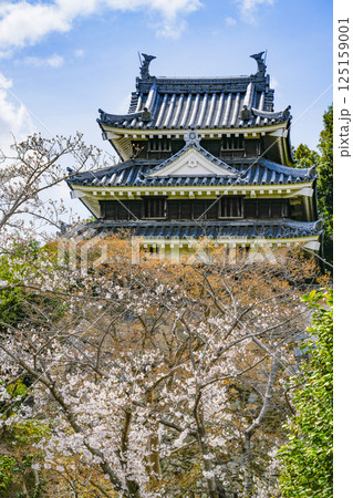 西尾市歴史公園(3月末日) 本丸丑寅櫓(ほんまるうしとらやぐら) 西尾市歴史公園(3月末日) 本丸丑寅櫓(ほんまるうしとらやぐら) 125159001