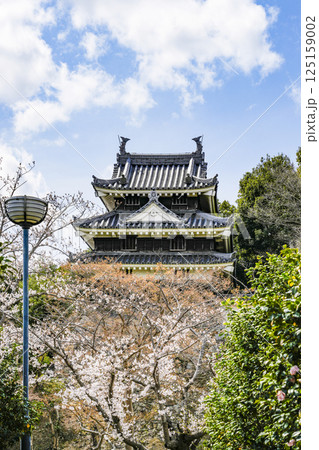 西尾市歴史公園(3月末日) 本丸丑寅櫓(ほんまるうしとらやぐら) 西尾市歴史公園(3月末日) 本丸丑寅櫓(ほんまるうしとらやぐら) 125159002