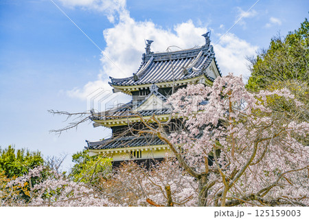 西尾市歴史公園（3月末日）　本丸丑寅櫓（ほんまるうしとらやぐら） 125159003