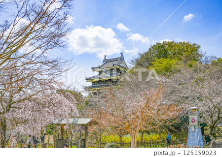 西尾市歴史公園（3月末日）　本丸丑寅櫓（ほんまるうしとらやぐら） 125159023