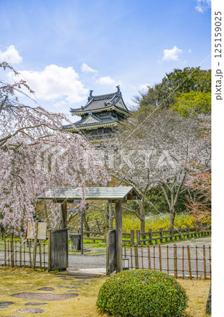 西尾市歴史公園（3月末日）　本丸丑寅櫓（ほんまるうしとらやぐら） 125159025