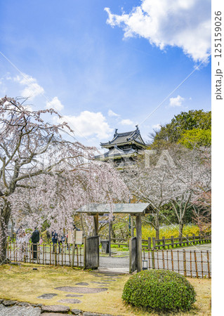 西尾市歴史公園（3月末日）　本丸丑寅櫓（ほんまるうしとらやぐら） 125159026