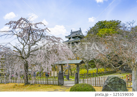 西尾市歴史公園（3月末日）　本丸丑寅櫓（ほんまるうしとらやぐら） 125159030