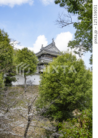 西尾市歴史公園(3月末日) 本丸丑寅櫓(ほんまるうしとらやぐら) 西尾市歴史公園(3月末日) 本丸丑寅櫓(ほんまるうしとらやぐら) 125159031