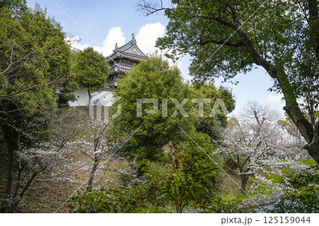 西尾市歴史公園（3月末日）　本丸丑寅櫓（ほんまるうしとらやぐら） 125159044