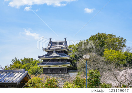 西尾市歴史公園（3月末日）　本丸丑寅櫓（ほんまるうしとらやぐら） 125159047