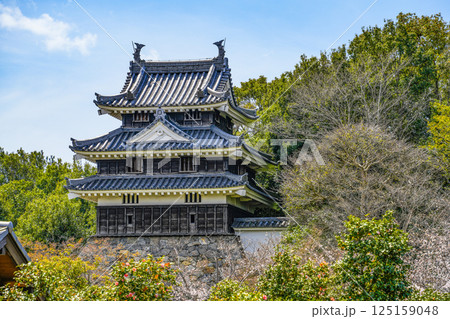 西尾市歴史公園（3月末日）　本丸丑寅櫓（ほんまるうしとらやぐら） 125159048