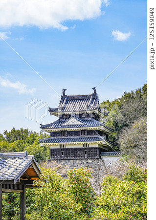 西尾市歴史公園（3月末日）　本丸丑寅櫓（ほんまるうしとらやぐら） 125159049