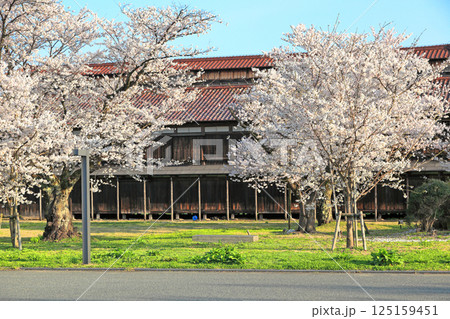 国指定史跡　松ヶ岡開墾場 125159451