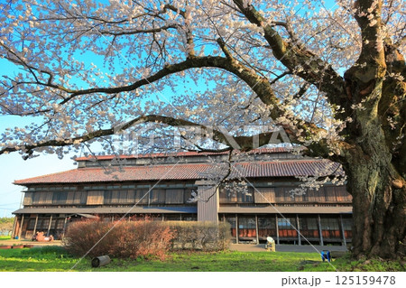 国指定史跡　松ヶ岡開墾場 125159478