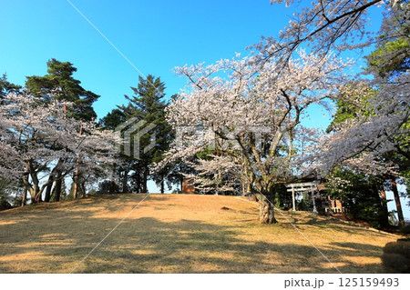 国指定史跡 松ヶ岡開墾場 国指定史跡 松ヶ岡開墾場 125159493