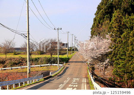 国指定史跡　松ヶ岡開墾場 125159496