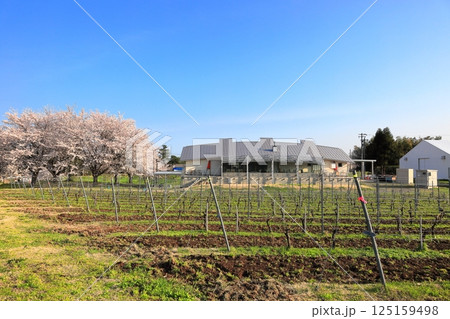 国指定史跡　松ヶ岡開墾場 125159498