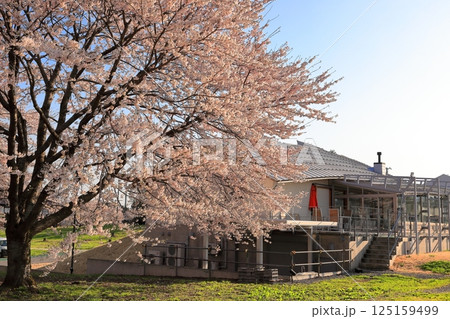 国指定史跡　松ヶ岡開墾場 125159499