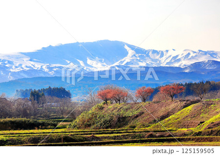 国指定史跡　松ヶ岡開墾場 125159505