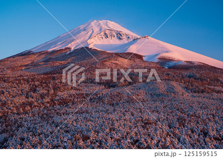 腰切塚展望台から見た雪景色と紅富士 腰切塚展望台から見た雪景色と紅富士 125159515