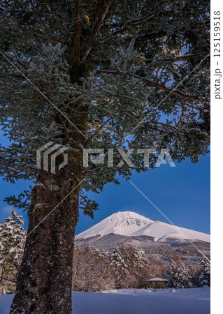 水ヶ塚公園からの雪景色と富士山 125159518