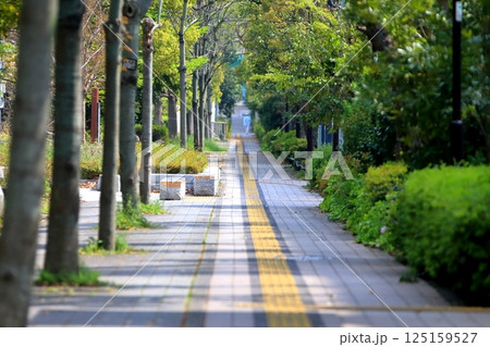 視覚障害者誘導用ブロックのある歩道　イメージ 125159527