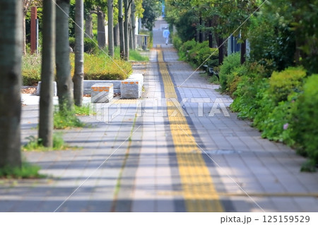 視覚障害者誘導用ブロックのある歩道　イメージ 125159529
