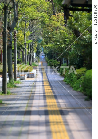 視覚障害者誘導用ブロックのある歩道　イメージ 125159530