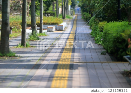 視覚障害者誘導用ブロックのある歩道 イメージ 視覚障害者誘導用ブロックのある歩道 イメージ 125159531