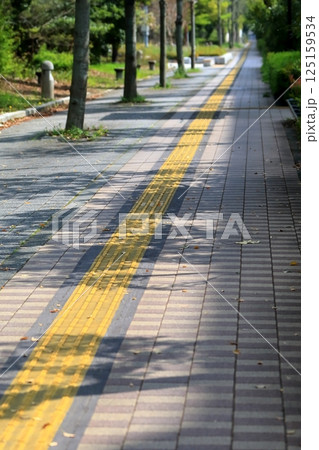 視覚障害者誘導用ブロックのある歩道 イメージ 視覚障害者誘導用ブロックのある歩道 イメージ 125159534